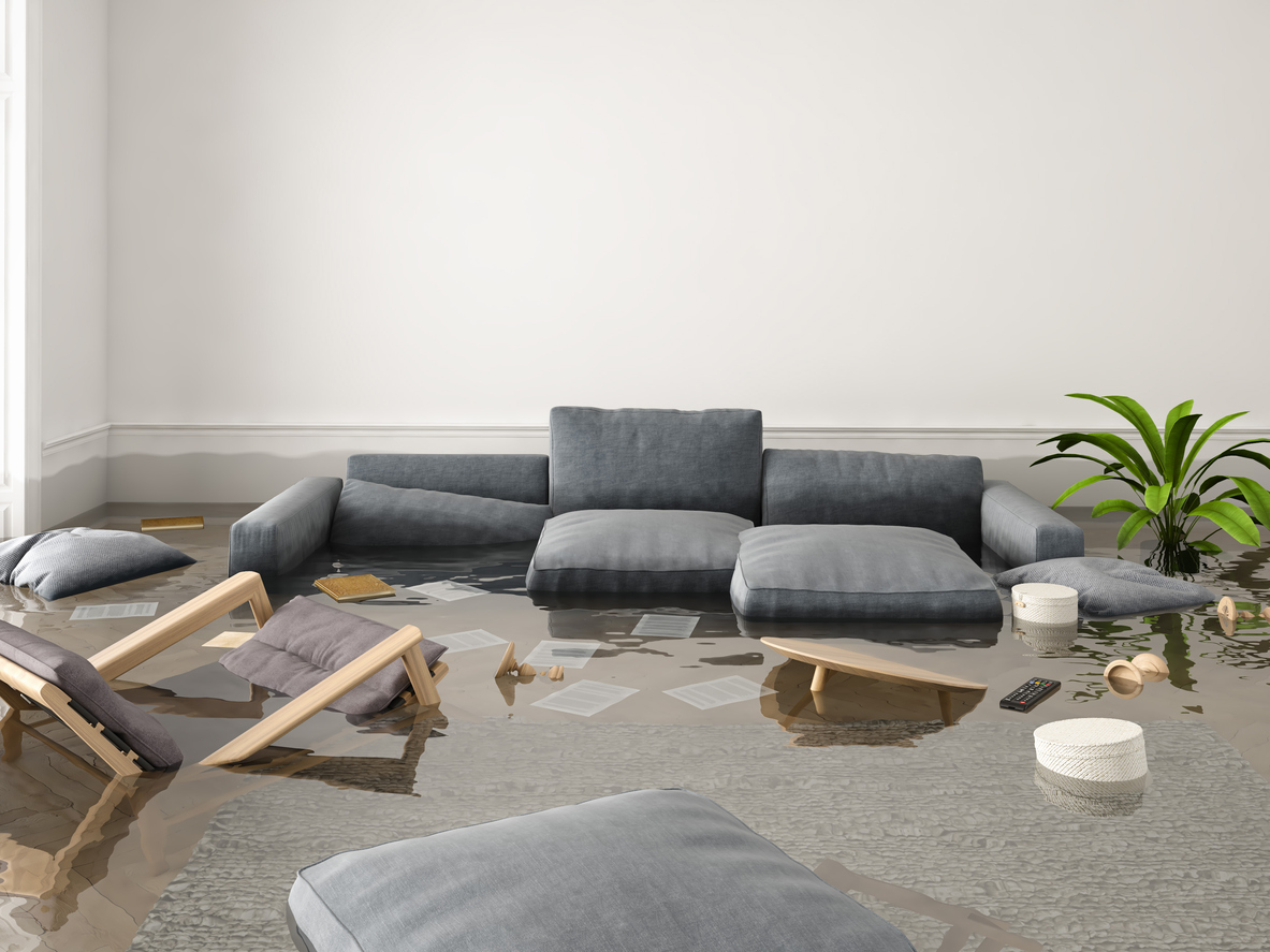 flood cleanup services in dfw