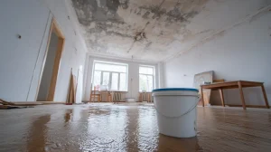 Empty room with a bucket placed on a wooden floor covered in standing water, indicating severe water damage from a leaking ceiling.